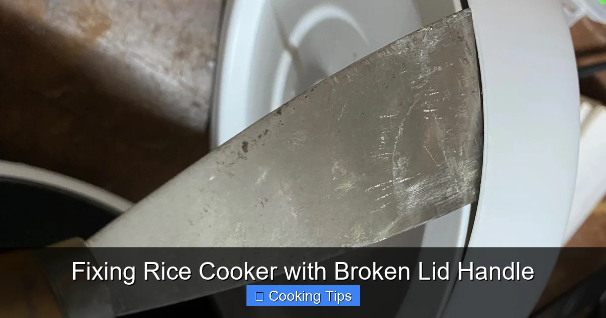 Fixing Rice Cooker with Broken Lid Handle