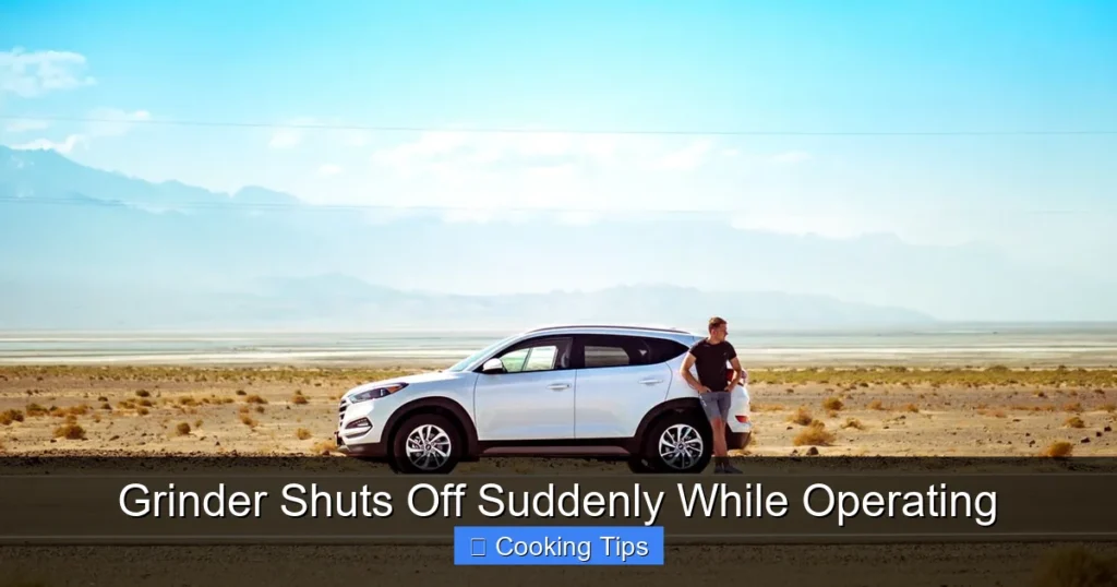 Grinder Shuts Off Suddenly While Operating Grinder Shuts Off Suddenly While Operating