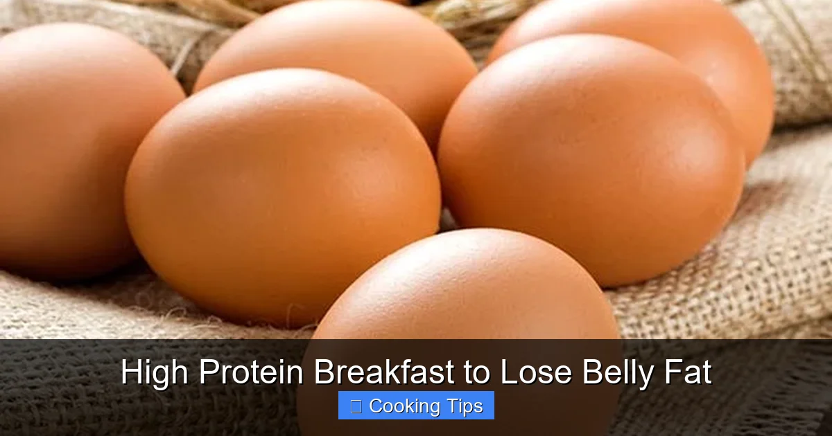 High Protein Breakfast to Lose Belly Fat