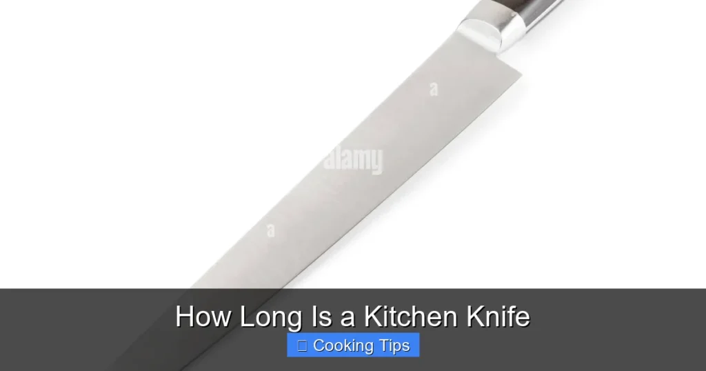 How Long Is a Kitchen Knife
