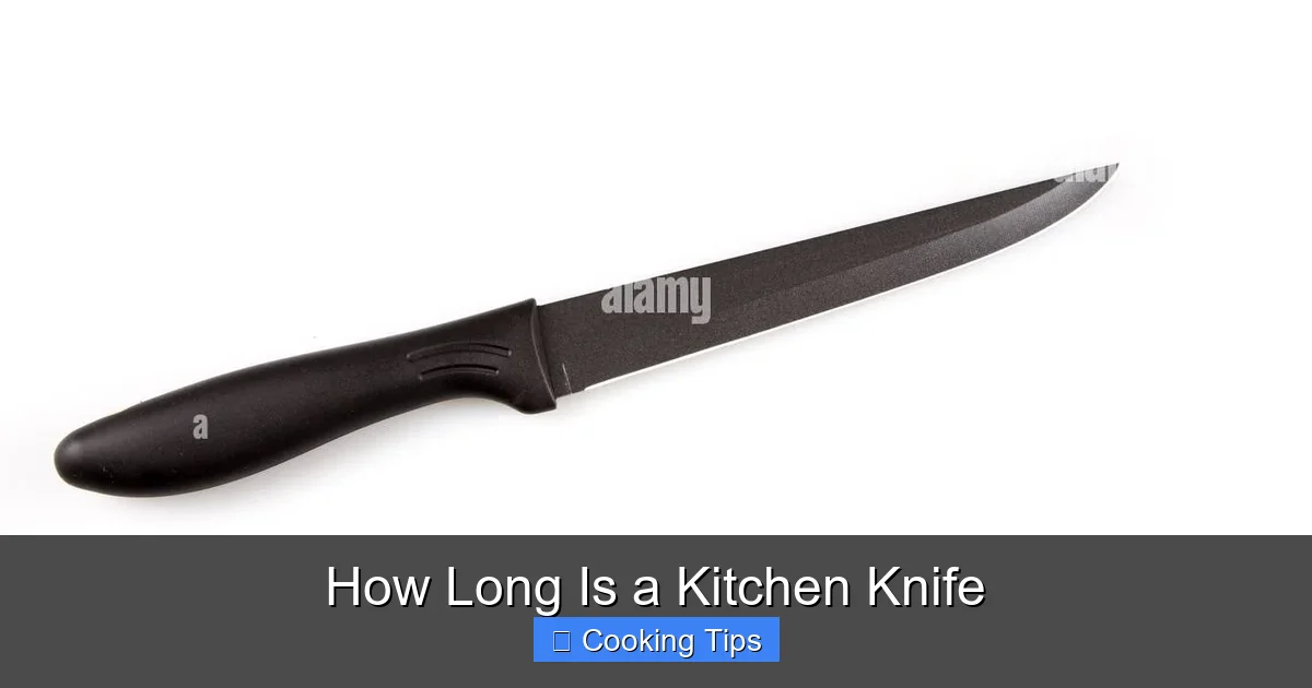 How Long Is a Kitchen Knife