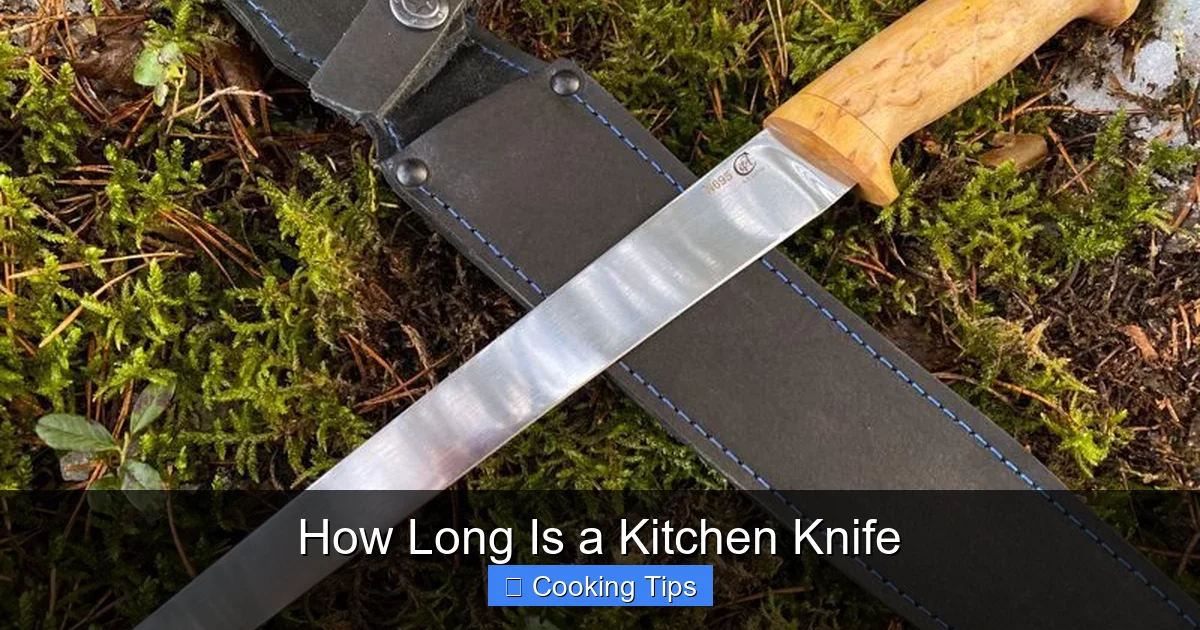 How Long Is a Kitchen Knife