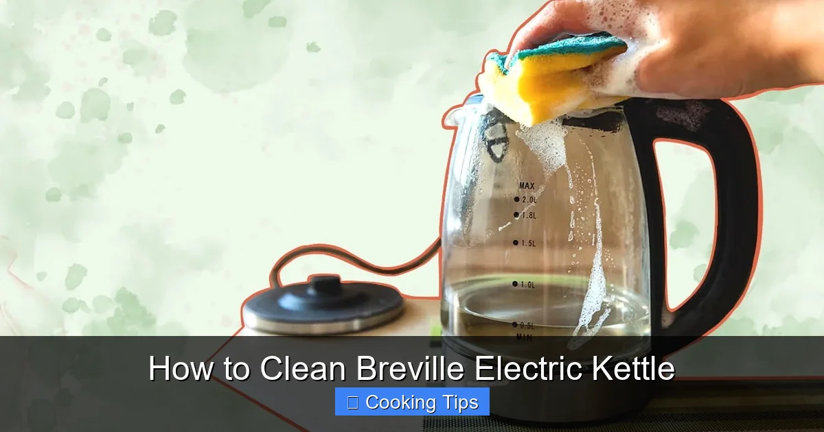 How to Clean Breville Electric Kettle