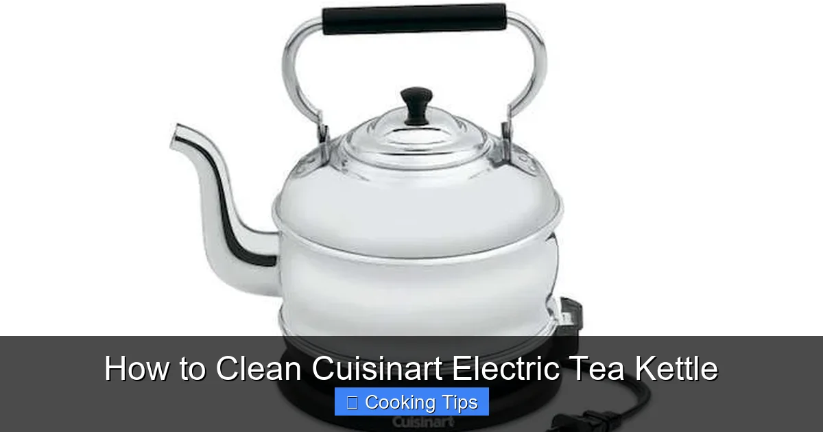 How to Clean Cuisinart Electric Tea Kettle