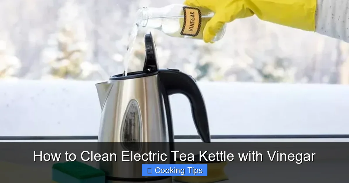 How to Clean Electric Tea Kettle with Vinegar