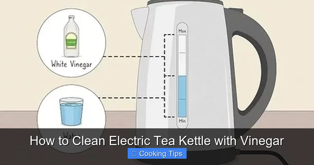 How to Clean Electric Tea Kettle with Vinegar