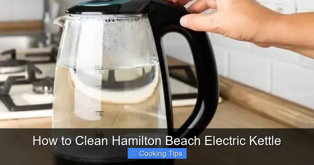 How to Clean Hamilton Beach Electric Kettle