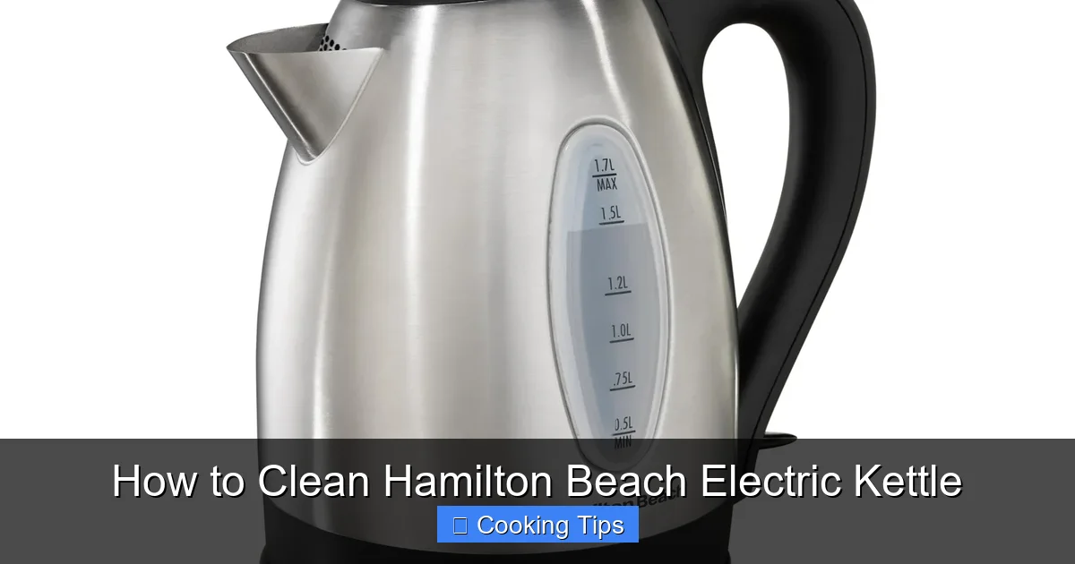 How to Clean Hamilton Beach Electric Kettle