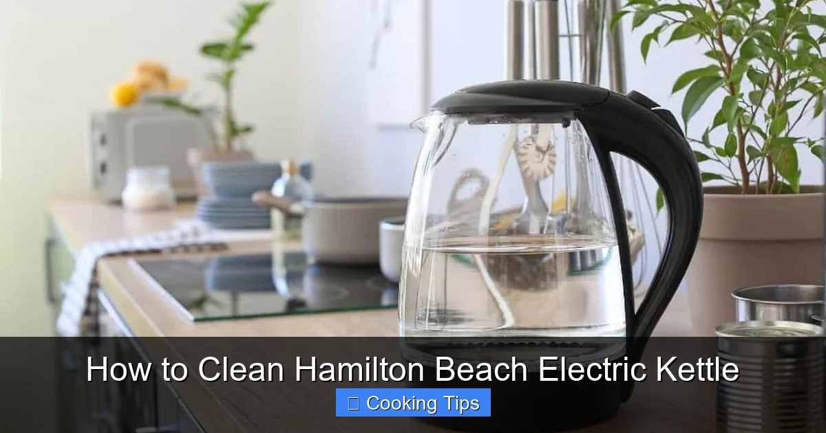 How to Clean Hamilton Beach Electric Kettle