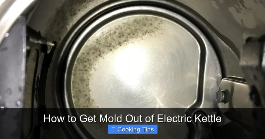 How to Get Mold Out of Electric Kettle How to Get Mold Out of Electric Kettle