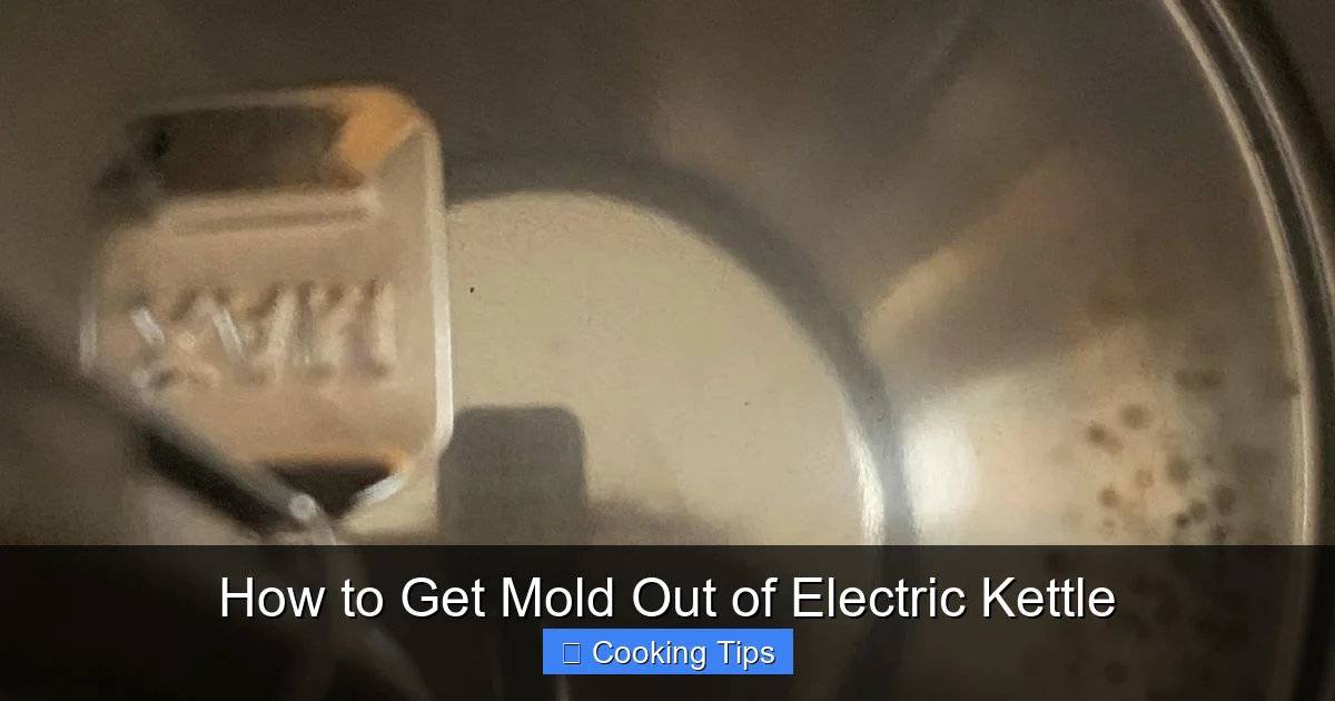 How to Get Mold Out of Electric Kettle