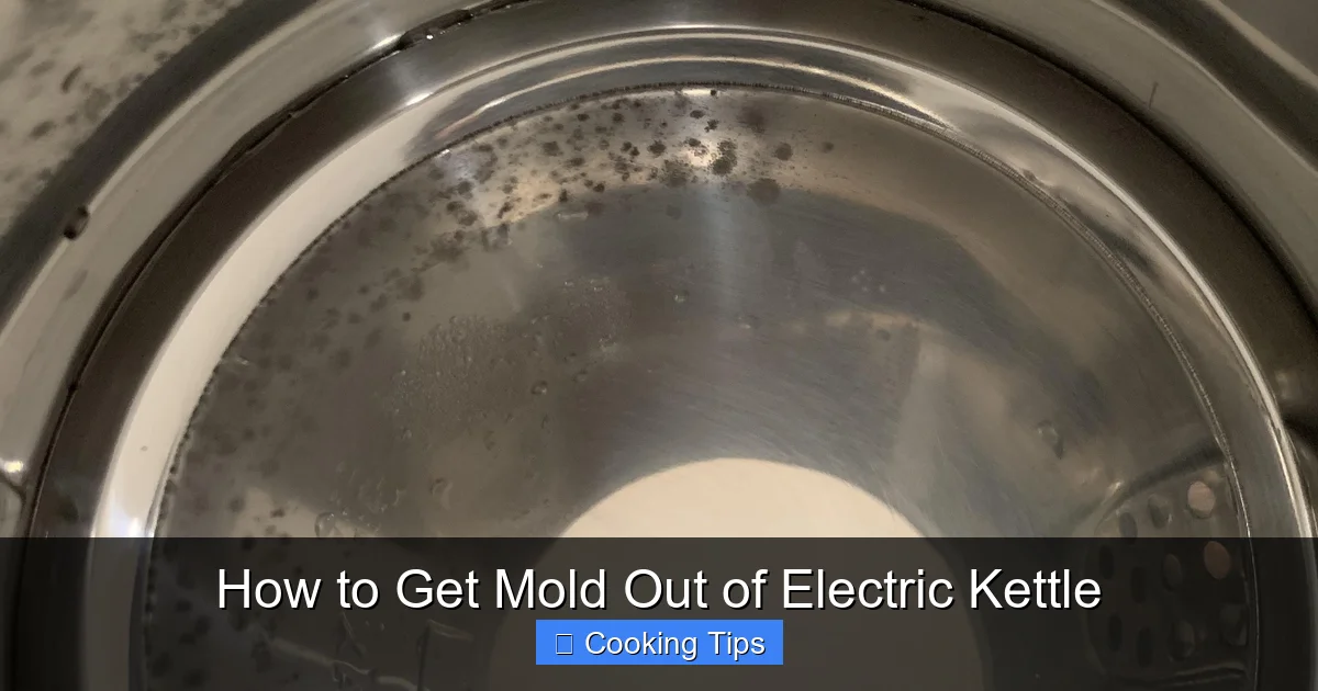 How to Get Mold Out of Electric Kettle