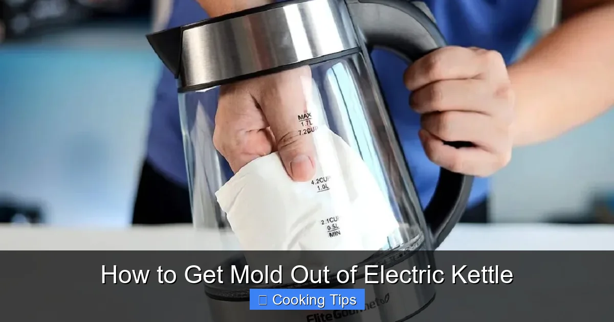 How to Get Mold Out of Electric Kettle