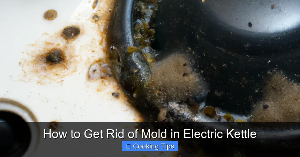 How to Get Rid of Mold in Electric Kettle