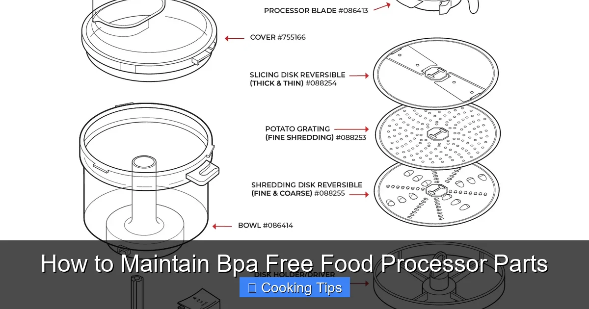 How to Maintain Bpa Free Food Processor Parts