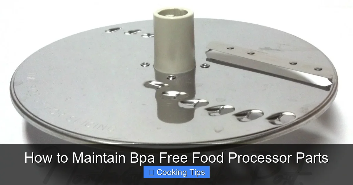 How to Maintain Bpa Free Food Processor Parts