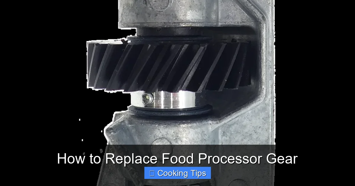 How to Replace Food Processor Gear