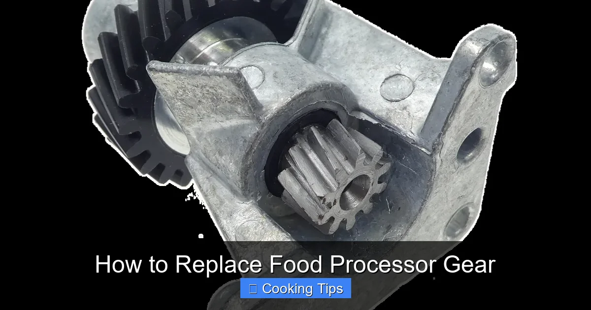 How to Replace Food Processor Gear