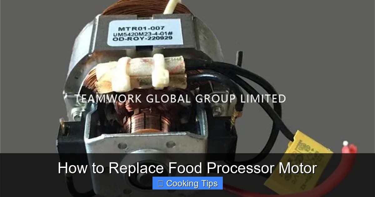 How to Replace Food Processor Motor