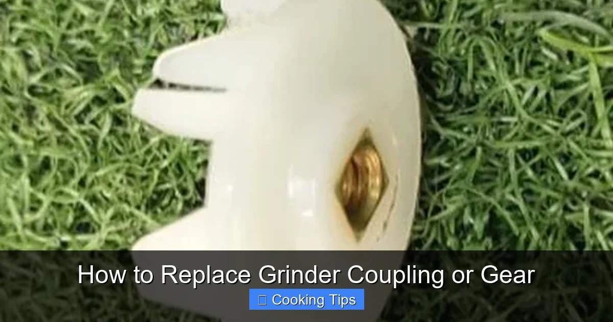 How to Replace Grinder Coupling or Gear