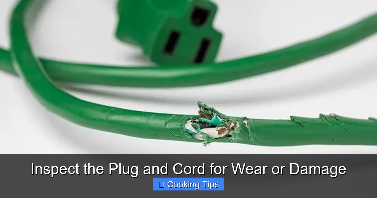 Inspect the Plug and Cord for Wear or Damage