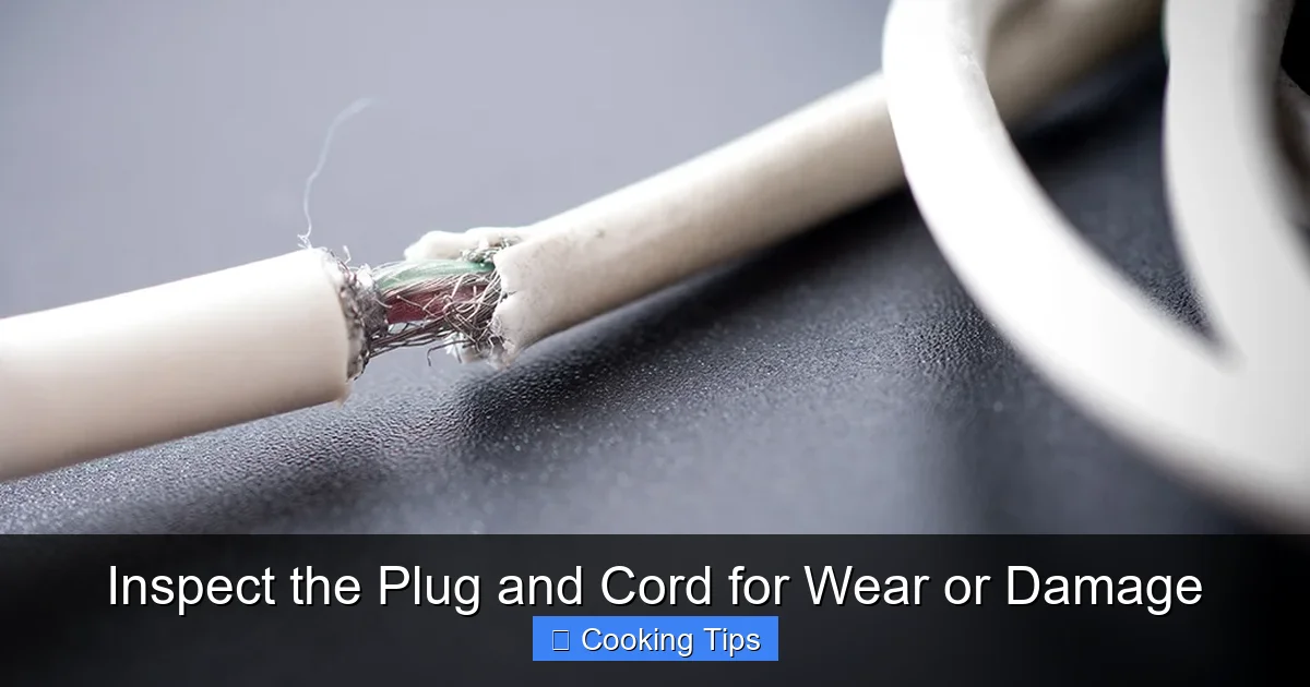 Inspect the Plug and Cord for Wear or Damage
