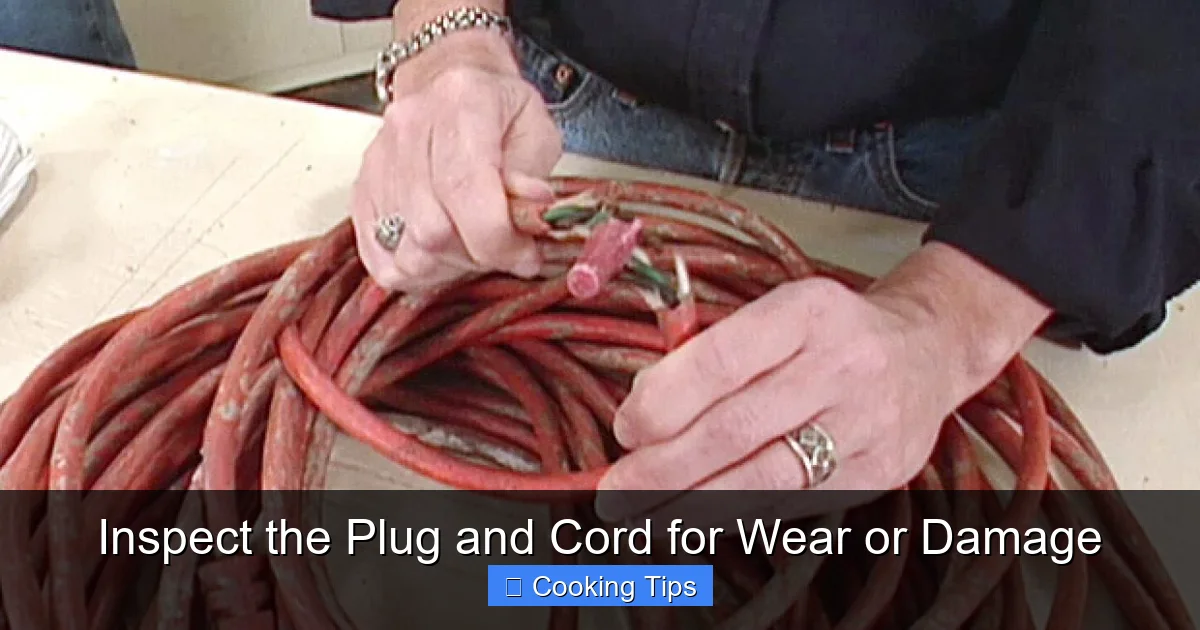 Inspect the Plug and Cord for Wear or Damage
