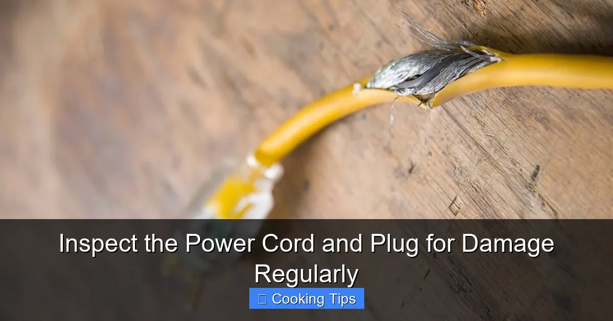 Inspect the Power Cord and Plug for Damage Regularly