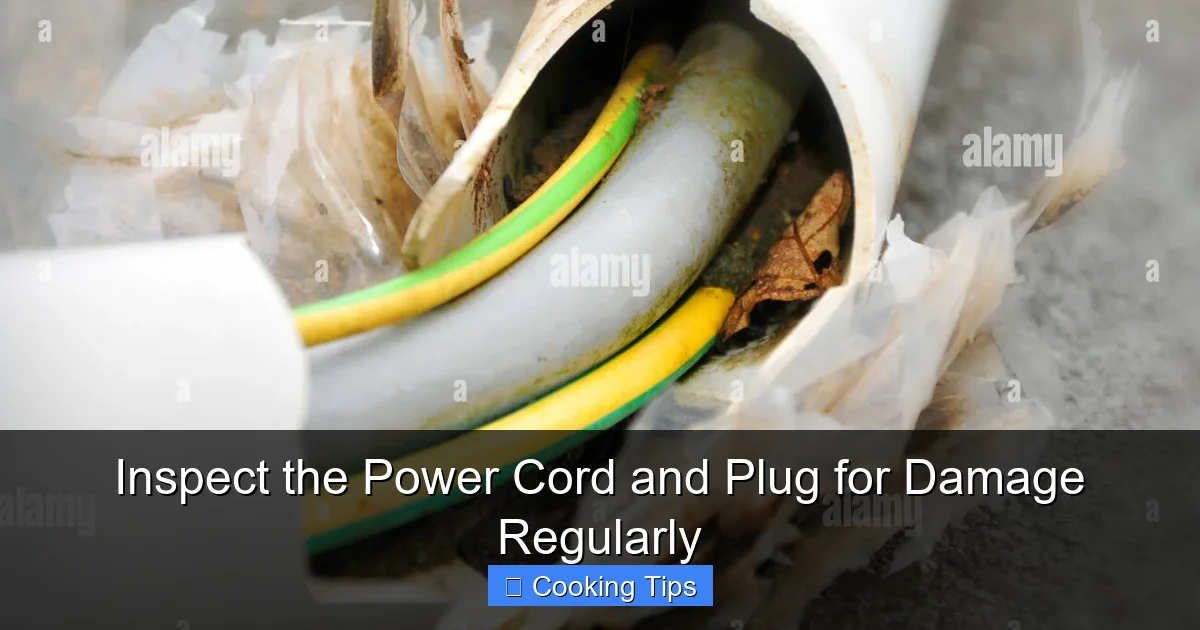 Inspect the Power Cord and Plug for Damage Regularly