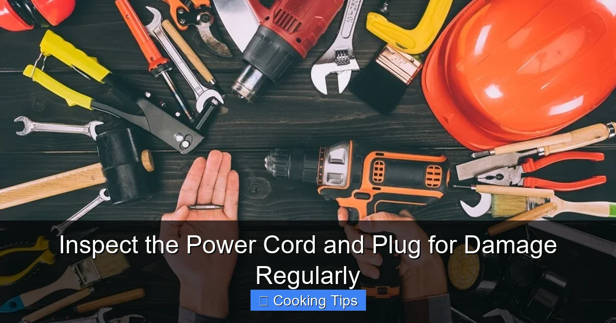 Inspect the Power Cord and Plug for Damage Regularly