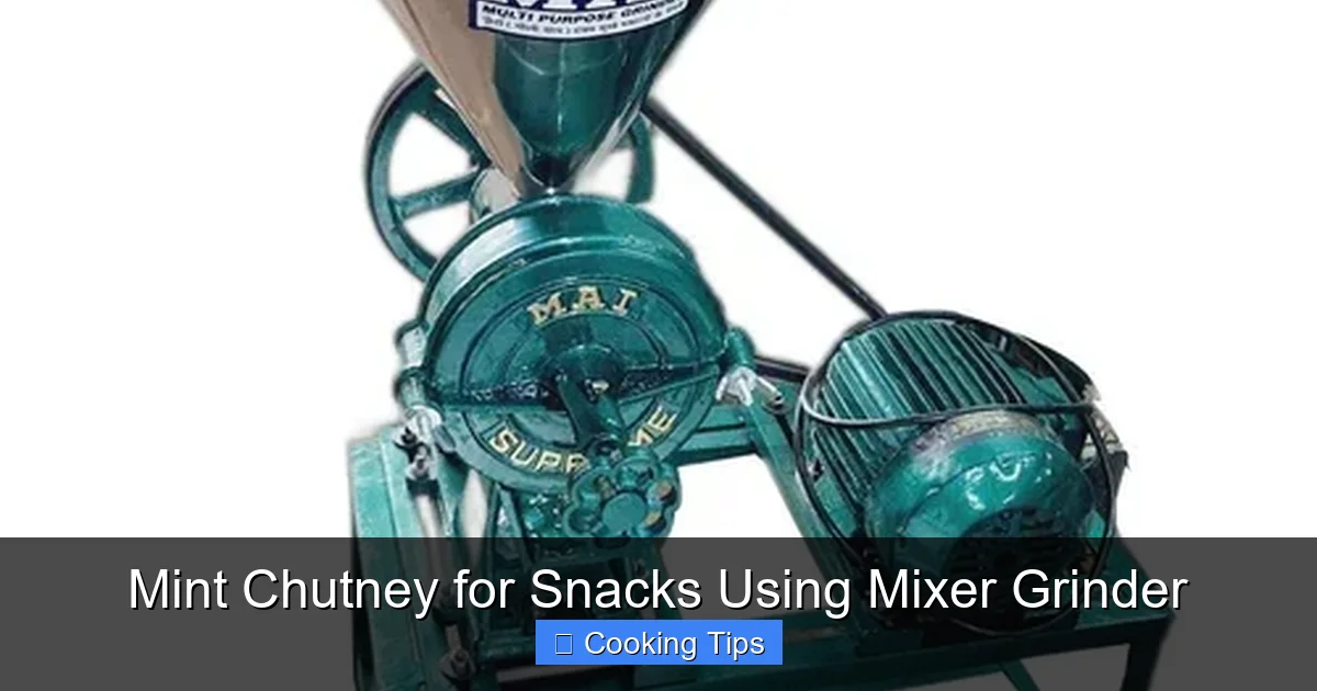 Mint Chutney for Snacks Using Mixer Grinder