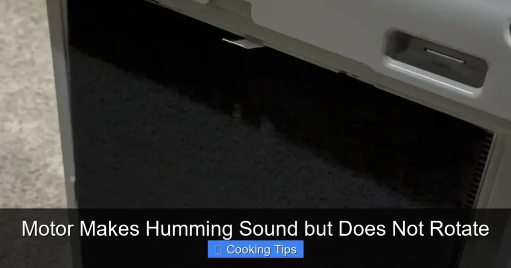 Motor Makes Humming Sound but Does Not Rotate Motor Makes Humming Sound but Does Not Rotate