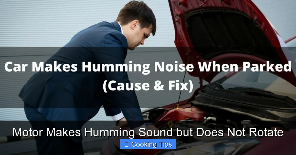 Motor Makes Humming Sound but Does Not Rotate