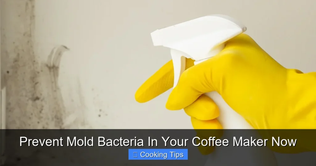 Prevent Mold Bacteria In Your Coffee Maker Now