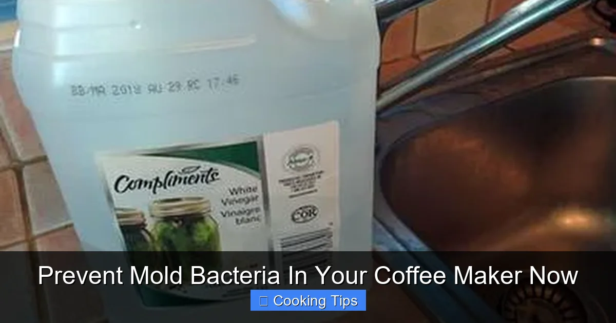 Prevent Mold Bacteria In Your Coffee Maker Now