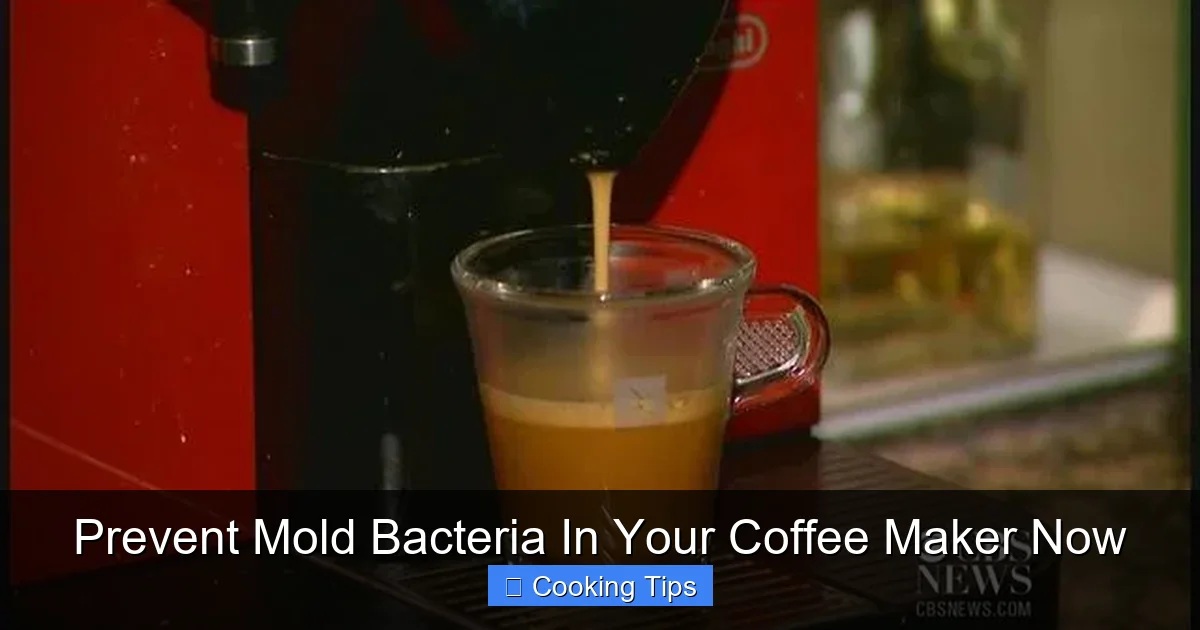 Prevent Mold Bacteria In Your Coffee Maker Now