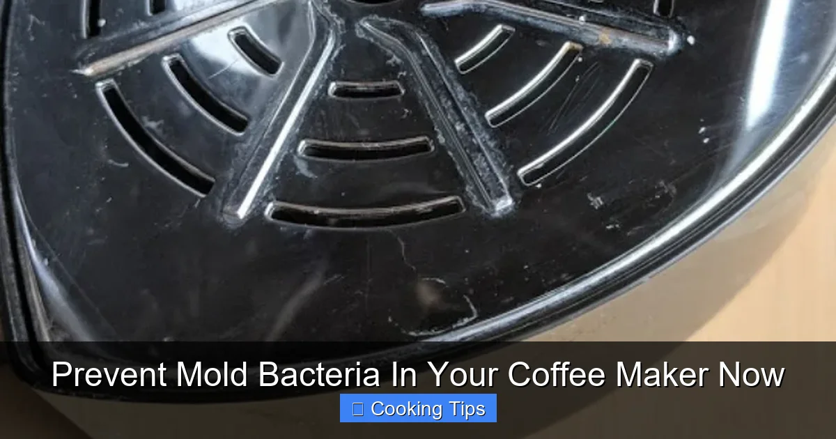 Prevent Mold Bacteria In Your Coffee Maker Now