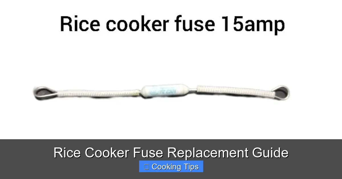 Rice Cooker Fuse Replacement Guide