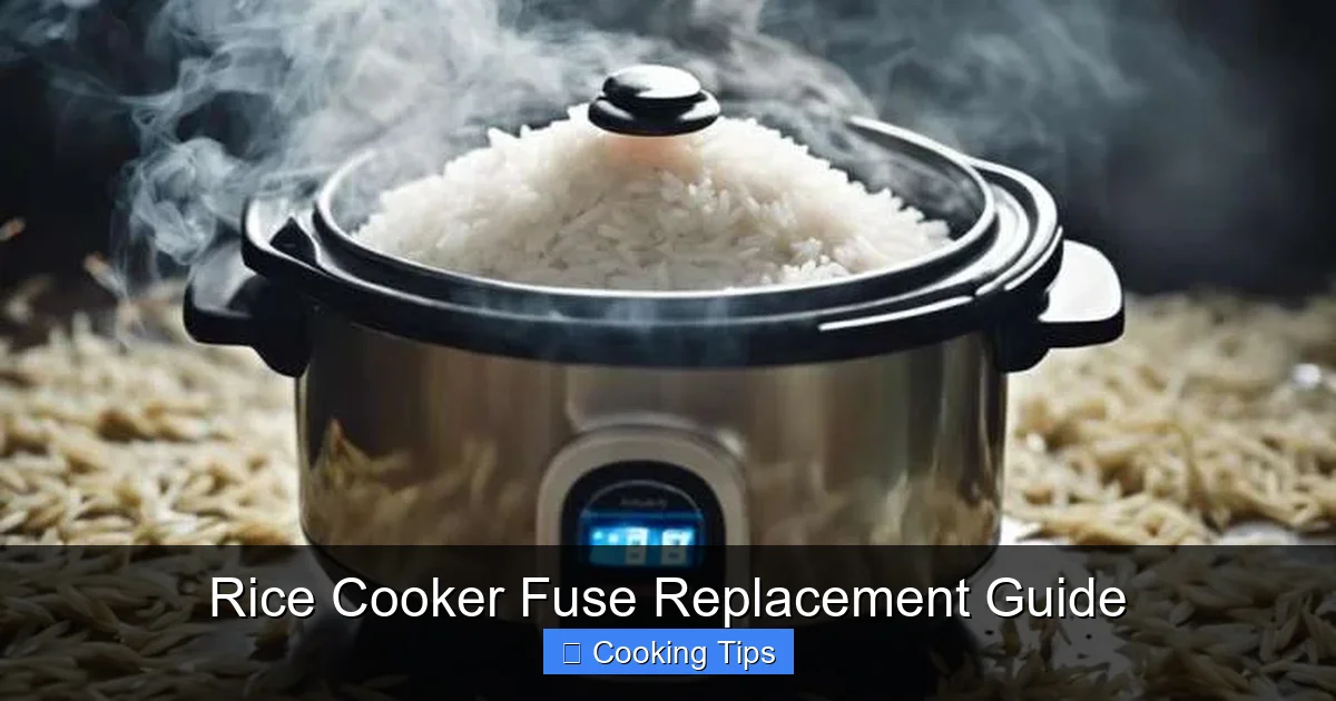 Rice Cooker Fuse Replacement Guide