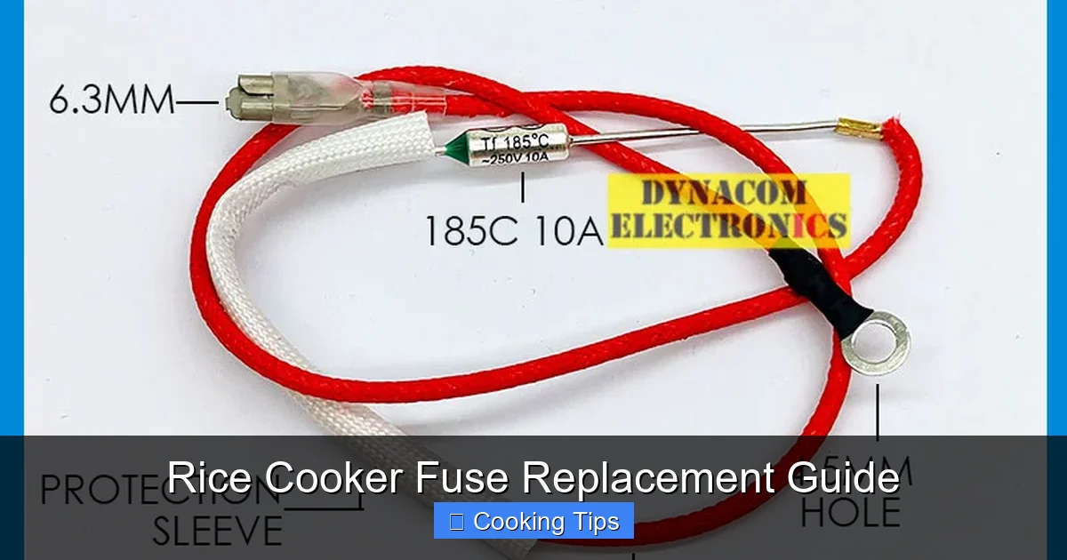 Rice Cooker Fuse Replacement Guide