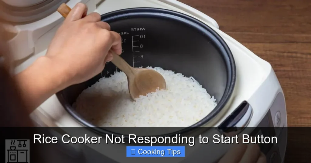 Rice Cooker Not Responding to Start Button