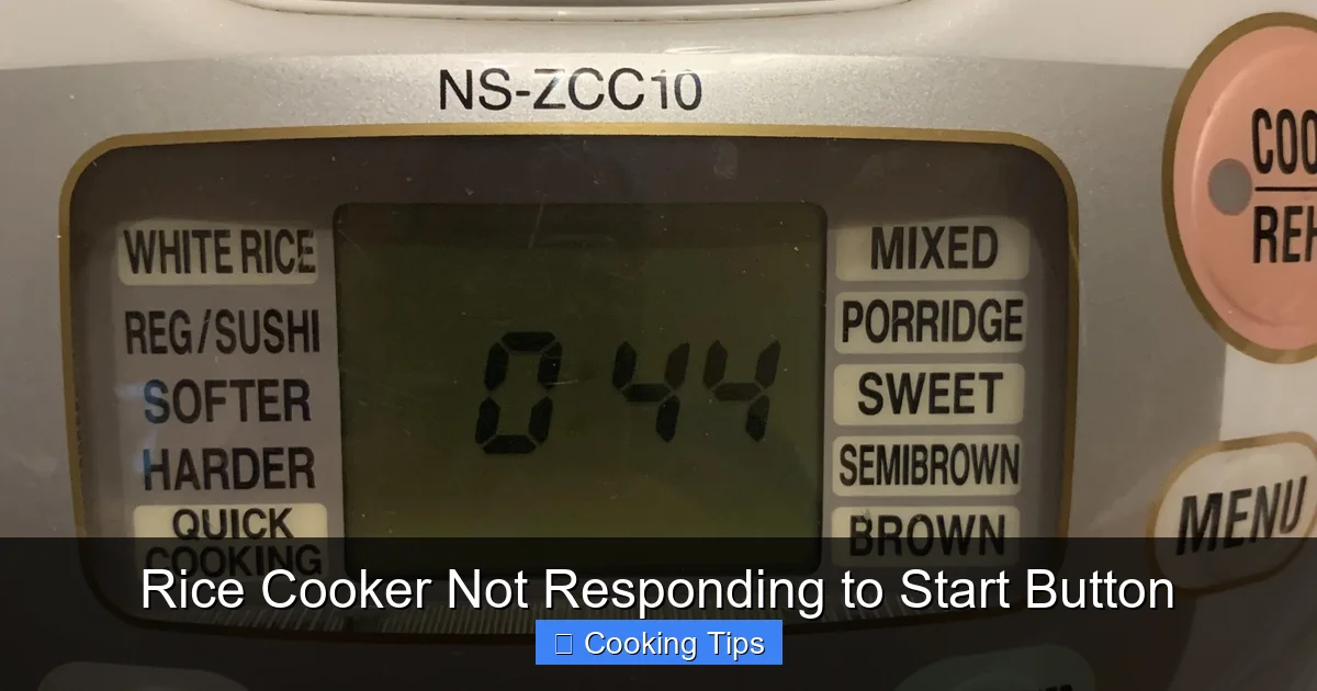 Rice Cooker Not Responding to Start Button