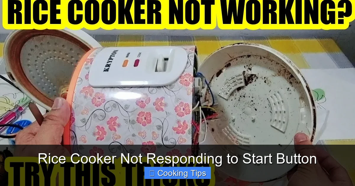 Rice Cooker Not Responding to Start Button