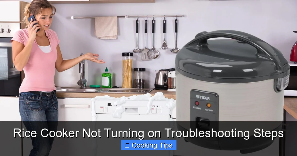 Rice Cooker Not Turning on Troubleshooting Steps