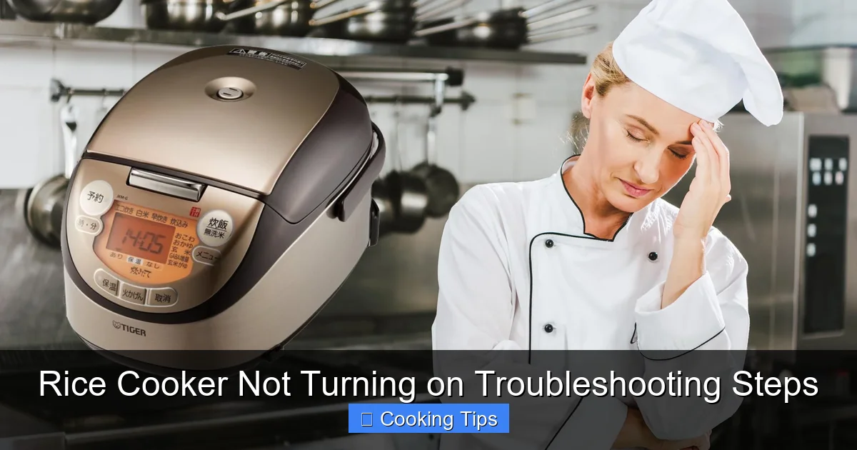 Rice Cooker Not Turning on Troubleshooting Steps