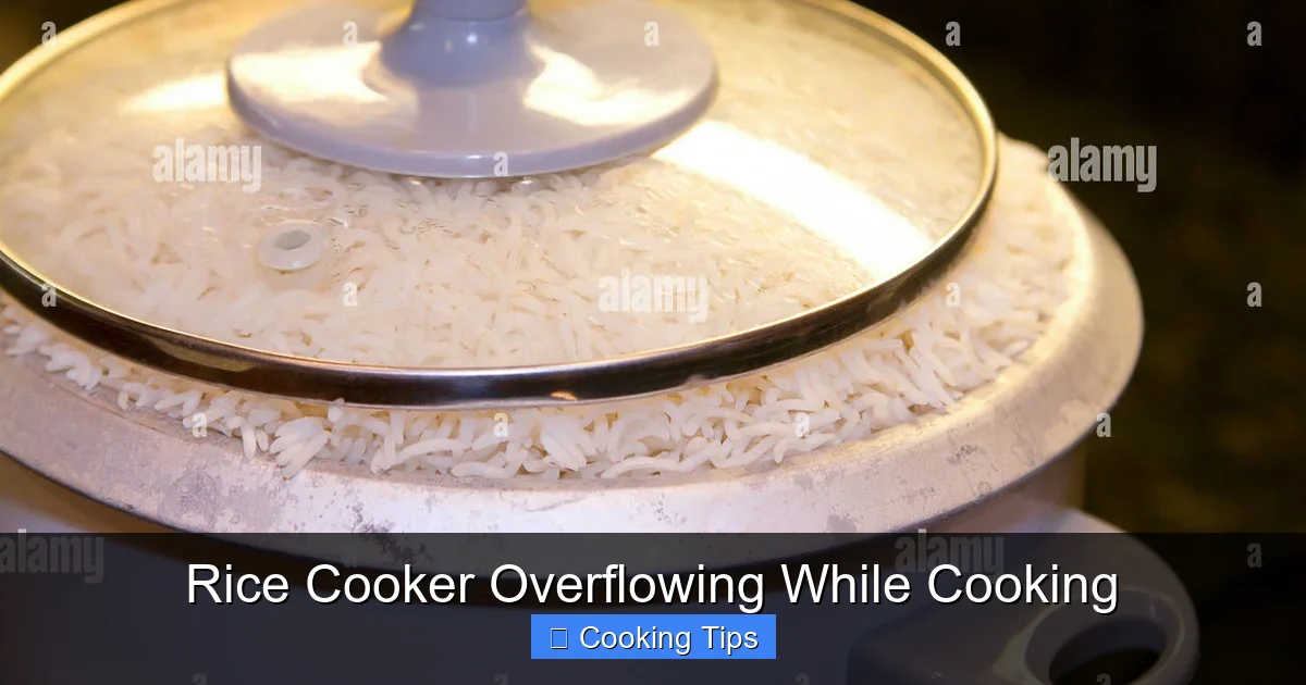 Rice Cooker Overflowing While Cooking