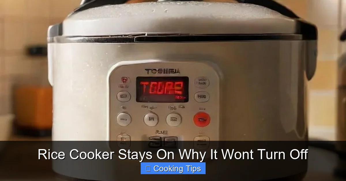 Rice Cooker Stays On Why It Wont Turn Off