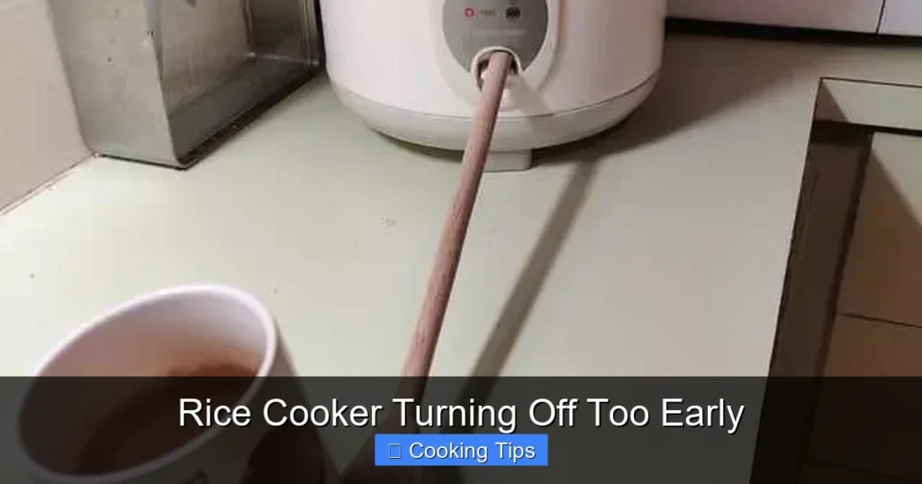 Rice Cooker Turning Off Too Early Rice Cooker Turning Off Too Early