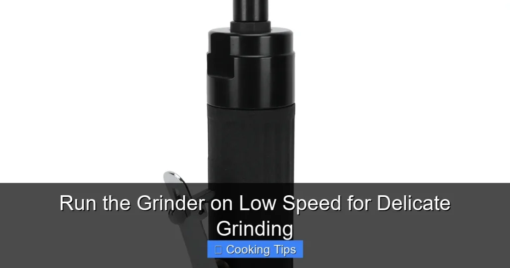 Run the Grinder on Low Speed for Delicate Grinding Run the Grinder on Low Speed for Delicate Grinding