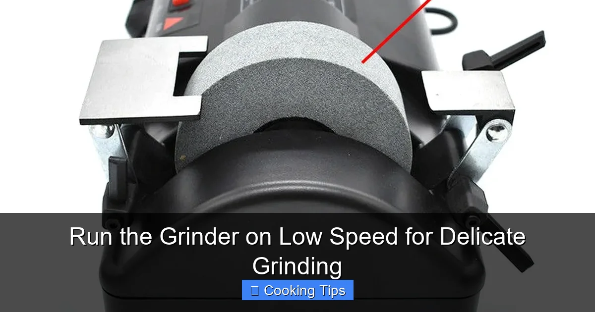 Run the Grinder on Low Speed for Delicate Grinding